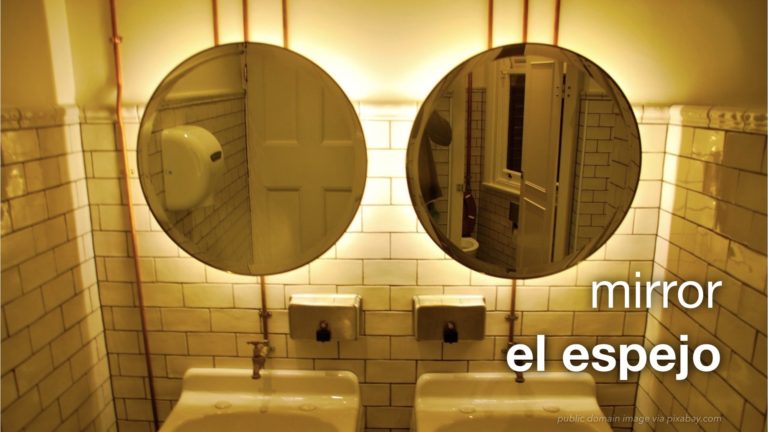 Spanish Vocabulary: Bathroom : The LEAF Project