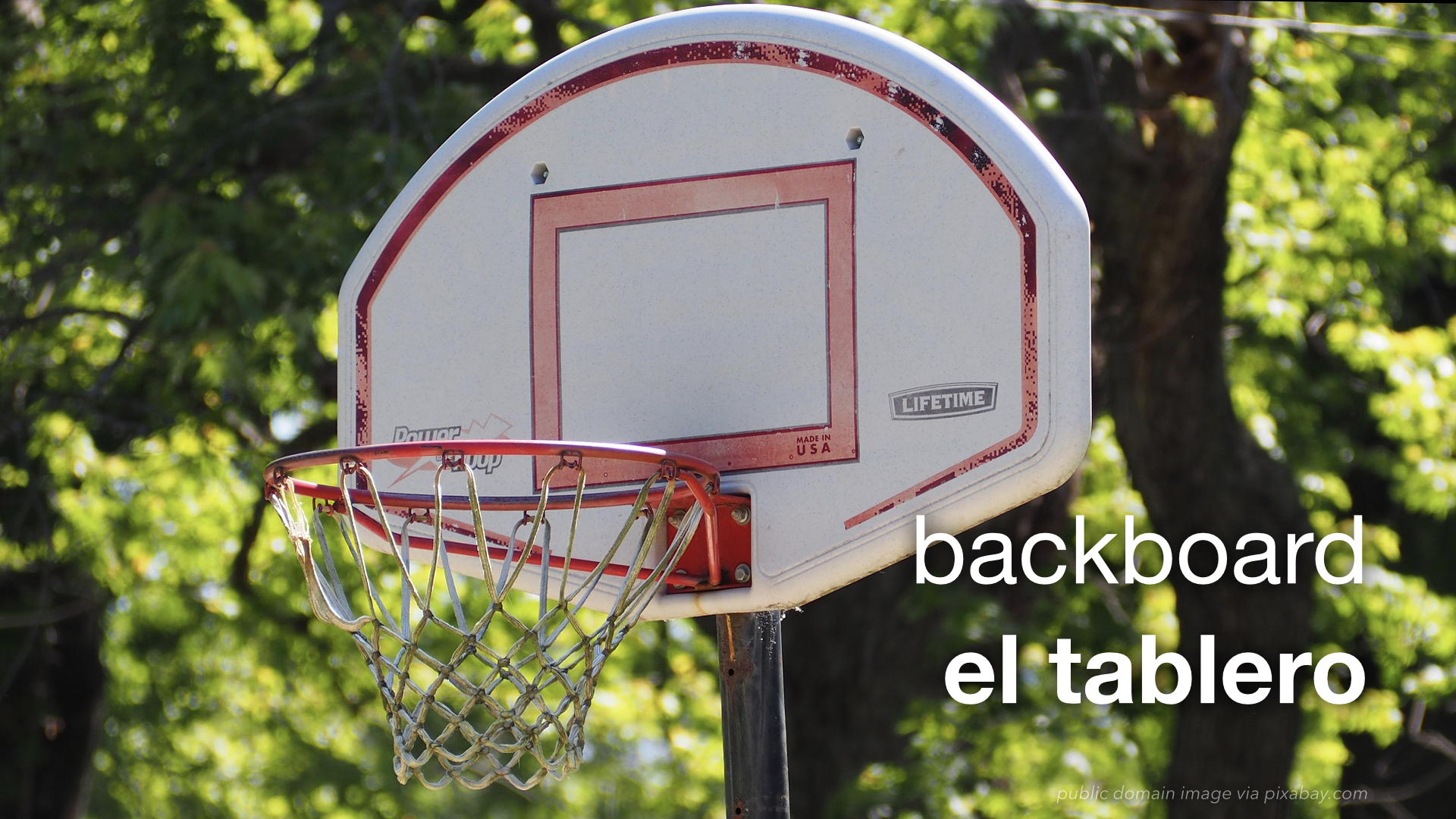 spanish-vocabulary-basketball-the-leaf-project