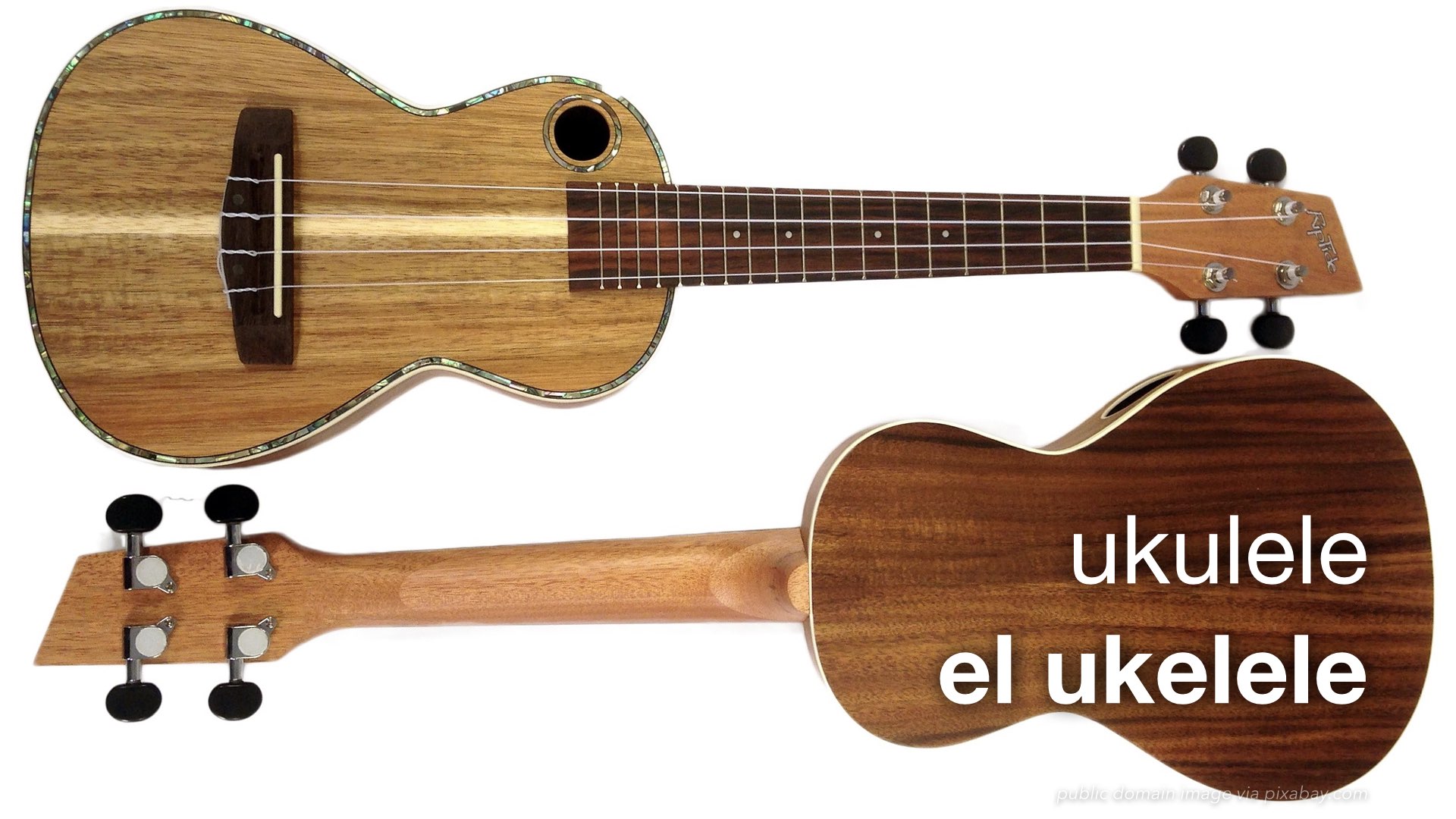 spanish stringed instruments